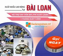 Đơn Hàng Nông Nghiệp Đài Loan 2024